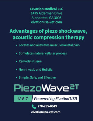 Small Animal Info Card - 25