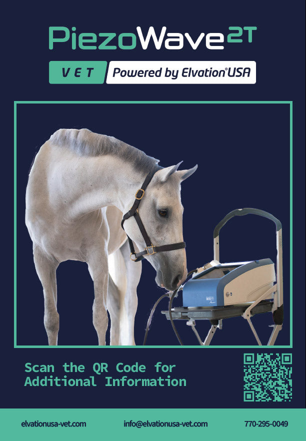 Equine Table Top Pop-Up