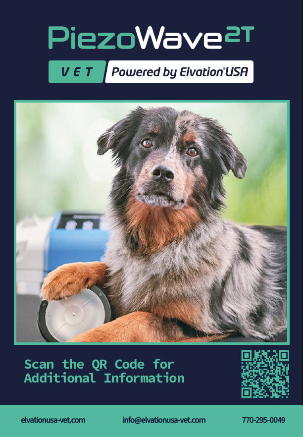 Table Top Pop-Up: Dog