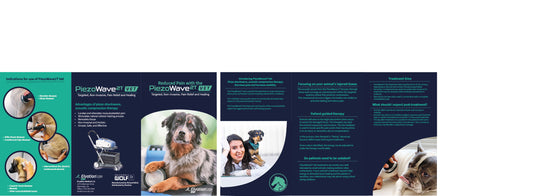 Small Animal Brochure