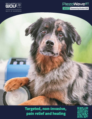 Small Animal Info Card - 25